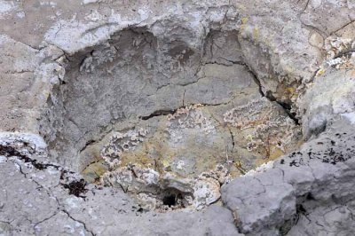Yellowstone Tour  20