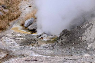 Yellowstone Tour  28
