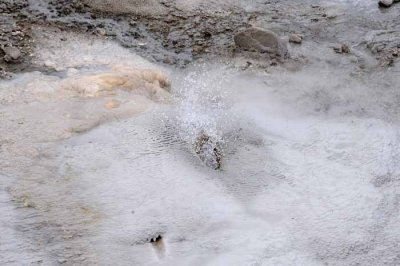Yellowstone Tour  30