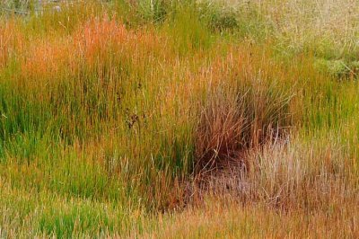 Yellowstone Tour  34
