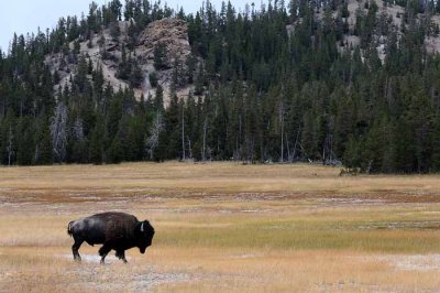 Yellowstone Tour  40