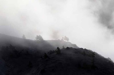 Yellowstone Tour  42