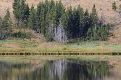 Yellowstone Tour  43