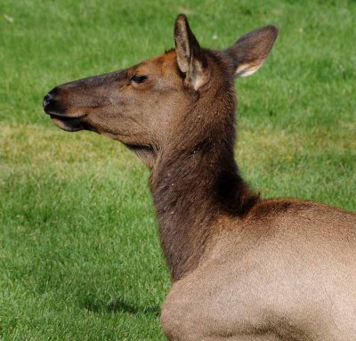 Yellowstone Tour  47