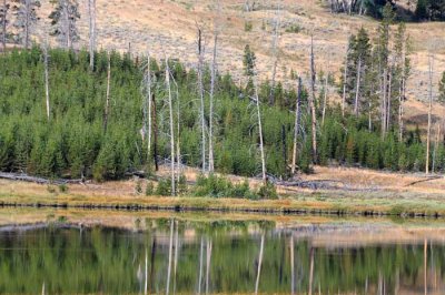 Yellowstone Tour  48