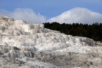 Yellowstone Tour  49