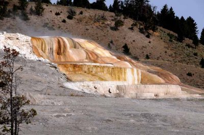 Yellowstone Tour  50
