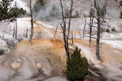 Yellowstone Tour  51