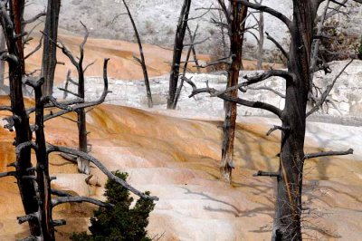 Yellowstone Tour  53