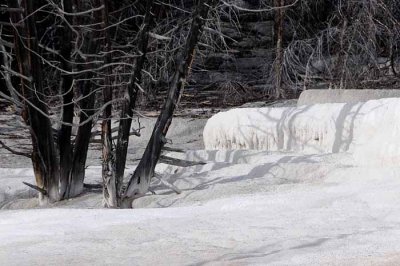 Yellowstone Tour  54
