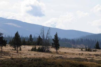 Yellowstone Tour  62