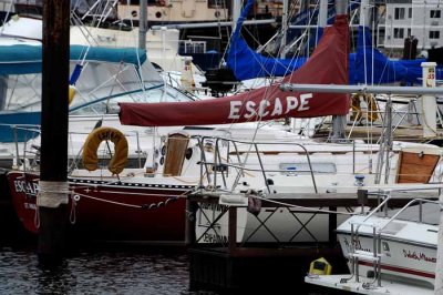 All Things Boats...Dockside