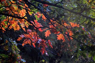 September on the Au Sable 07