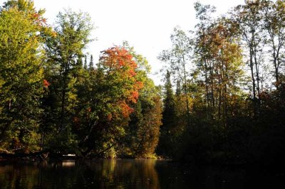 September on the Au Sable 12
