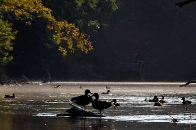 September on the Au Sable 13