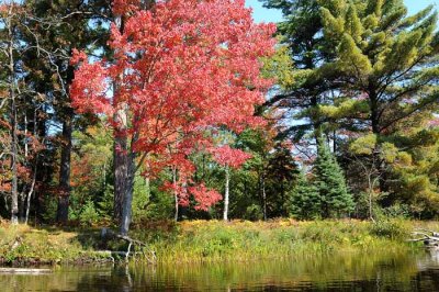 September on the Au Sable 56