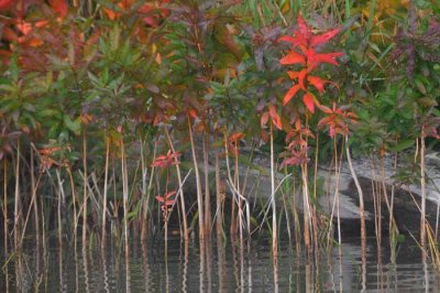 On Marl Lake 09