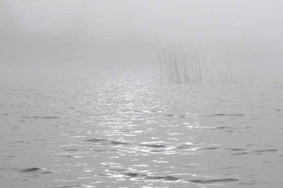 On Marl Lake 15