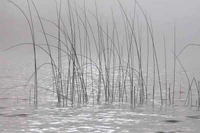 On Marl Lake 16