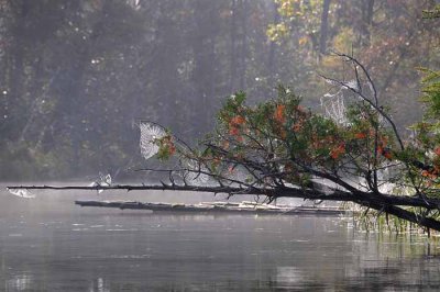 On Marl Lake 36