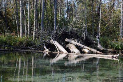 On Marl Lake 41