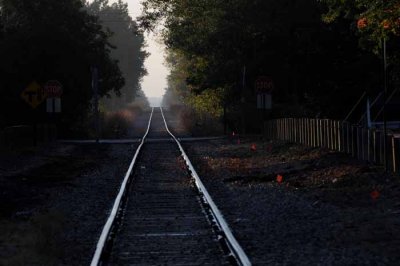 Track to Roscommon