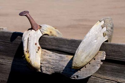 Teddy's Saddle