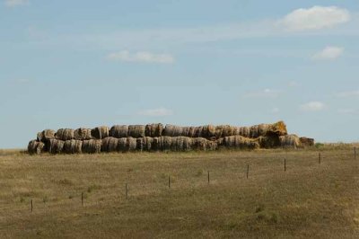 Prairie Harvest
