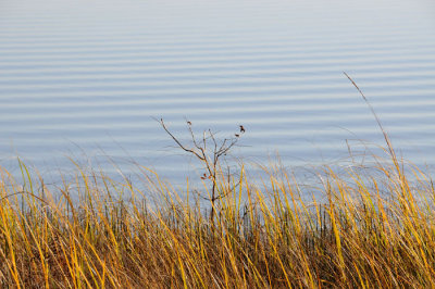 Higgins Lake 90  04