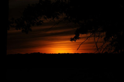 g1/28/835728/3/105546794.O2FnVJp5.jpg