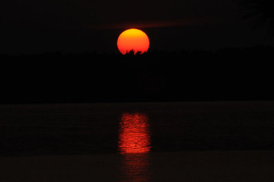 g1/28/835728/3/105546809.MqOlis0f.jpg
