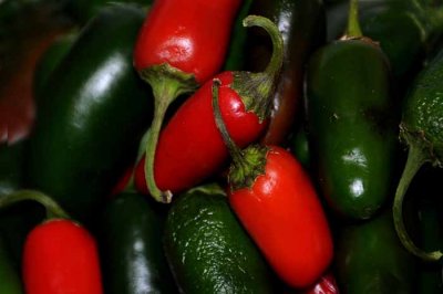 Chile Sauce - the Ingredients