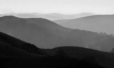 Mt. Diablo Foothills