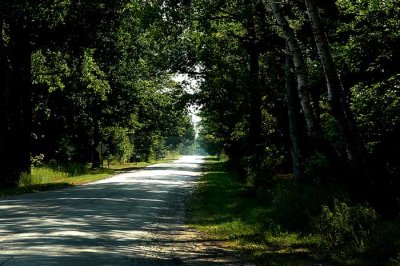 The Road Home