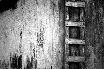 Barnside Ladder