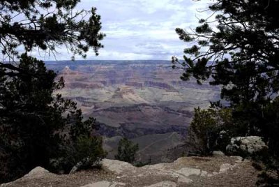 Grand Canyon National Park 27