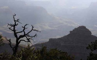 Grand Canyon National Park 8