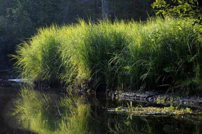 Kayak on Au Sable River, 09 02