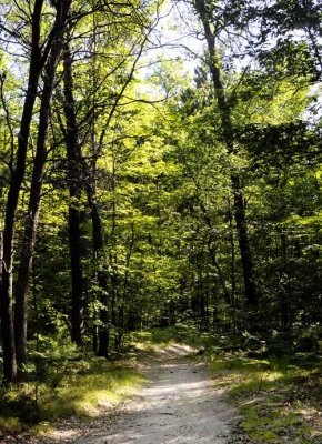 Around Higgins 3, August 31