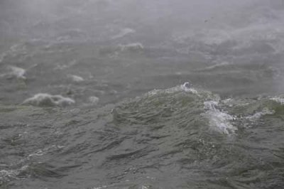 Niagara Falls, October 30