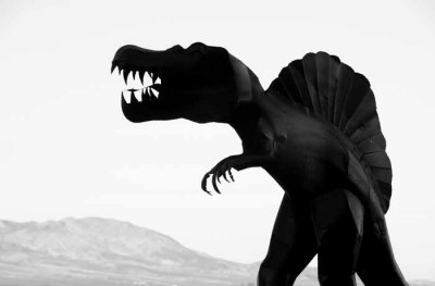 Rex in the High Desert