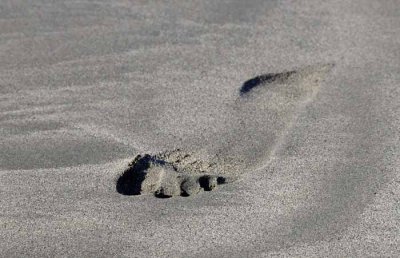 Leave Only Footprints