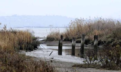 Martinez Shoreline