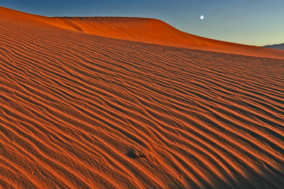 Dune & Moonset