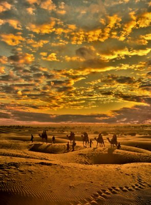 Sam Dunes - Thar Desert