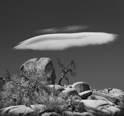 Joshua Tree UFO cloud