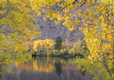 Morning Reflections