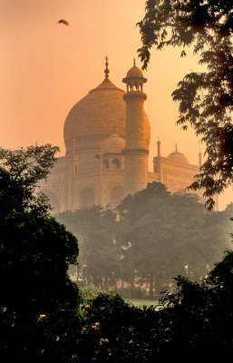 A Glimpse of the Taj