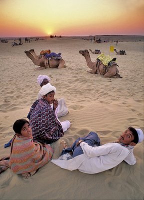 Camel Driver's on Break