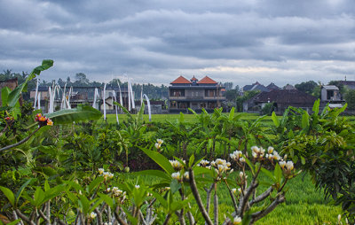 View from Ubud Villa Balcony